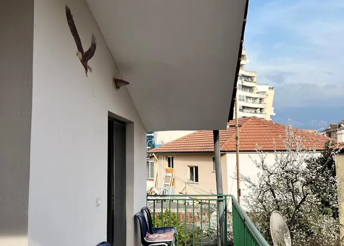 Door Hostel Τίρανα